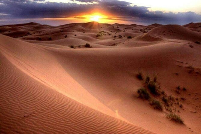 1-Hour Dune Buggy Self-Drive, Camel Ride & Sandboarding Adventure - Pickup from Dubai or Sharjah: hassle-free transport that matters
