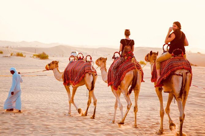 1-Hour Dune Buggy Self-Drive, Camel Ride & Sandboarding Adventure - Should you book this dune buggy + camel + sandboarding tour?
