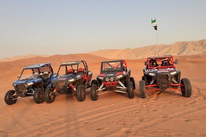 1-Hour Dune Buggy Self Drive with Camel Ride and Sand Boarding in Red Dunes - The Human Side: Guides, Photos, and How It Feels On the Ground