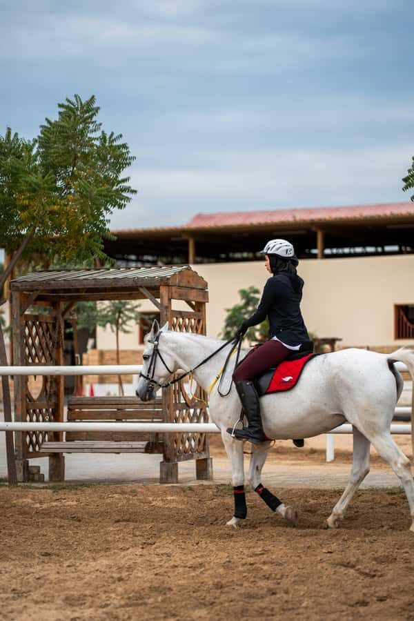 1 Hour Horseback Dubai Desert Park Ride - Key Things I’d Watch For Before You Go