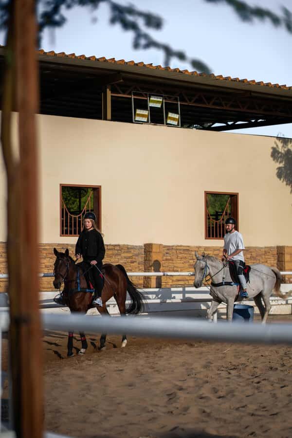 1 Hour Horseback Dubai Desert Park Ride - Transfers and Getting There on Your Own