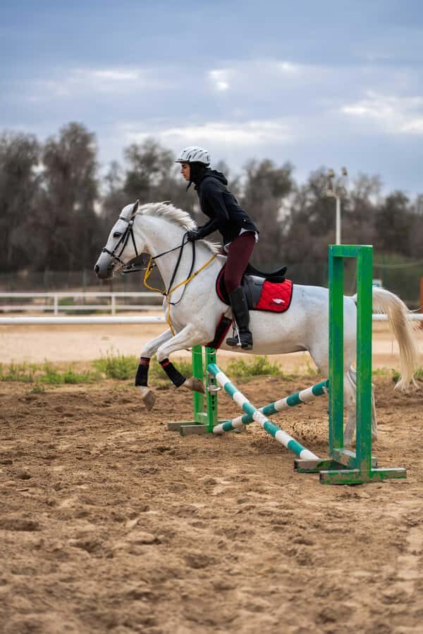 1 Hour Horseback Dubai Desert Park Ride - The 1-Hour Ride Flow: From Safety Talk to Saddle Time