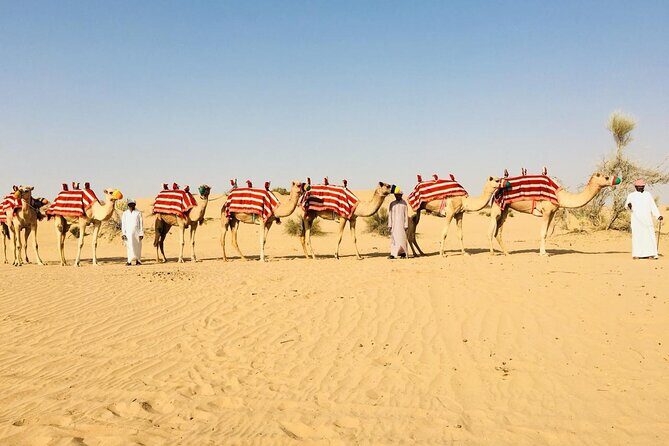 1 hour Private Camel Ride in Deep Desert - A One-Hour Camel Ride That Feels Truly Private