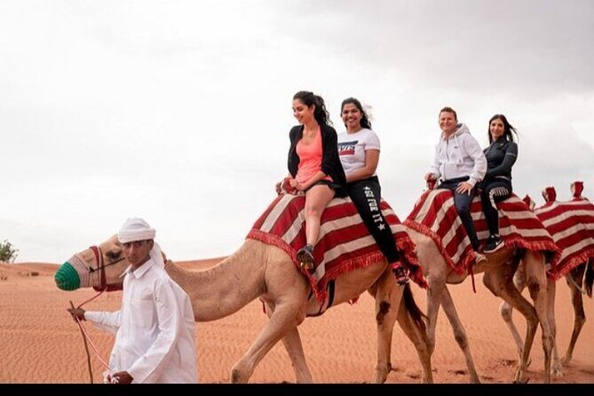 1 hour Private Camel Ride in Deep Desert - Air-Conditioned Pickup, Then Straight to the Camels