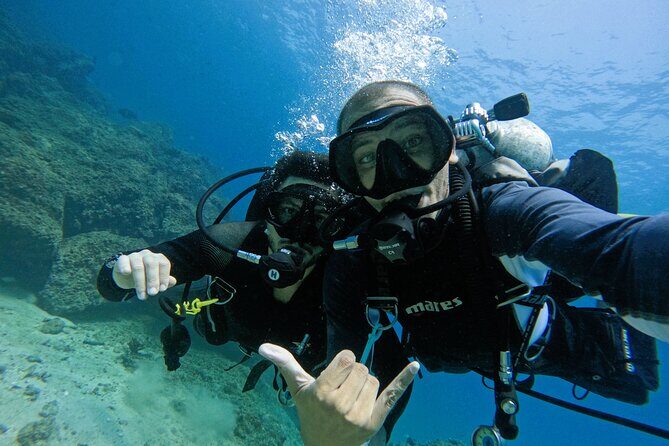 2 Dives for certified divers in Fujairah with BBQ lunch - Fujairah’s East Coast water: what you’re likely to spot underwater