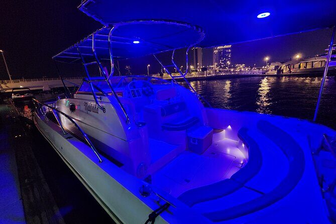 2Hours and 30Minute Private Boat Tour in Dubai - Ain Dubai and Bluewaters Island: the Ferris wheel you can actually track