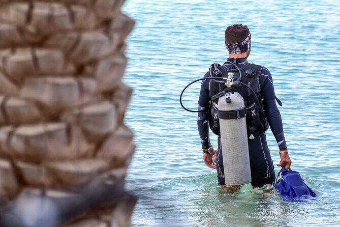 3-Day PADI Open Water Diving Course in Dubai - E-Learning: Optional, But You Can’t Ignore the Exam Timing