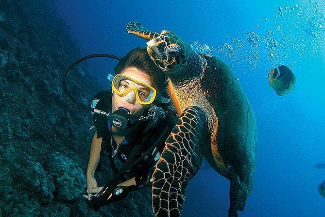 3-Day PADI Open Water Diving Course in Dubai - How the 3 Days Actually Work (And Why It’s Flexible)