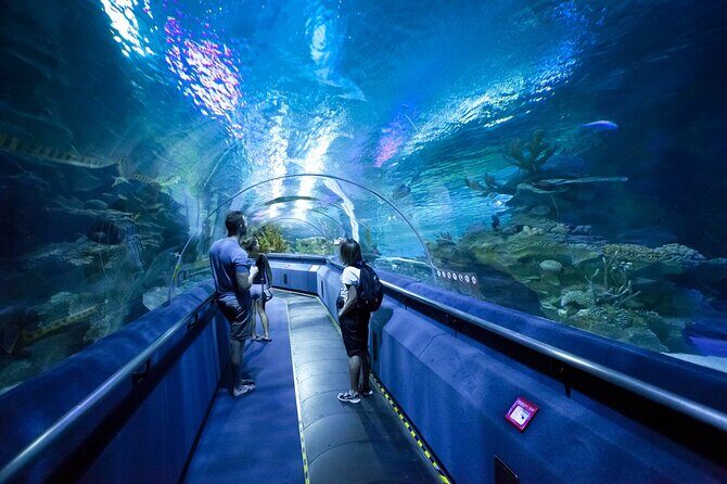3 Days Private Dubai & Abu Dhabi City Tour - Price and Value: When $885 Makes Sense
