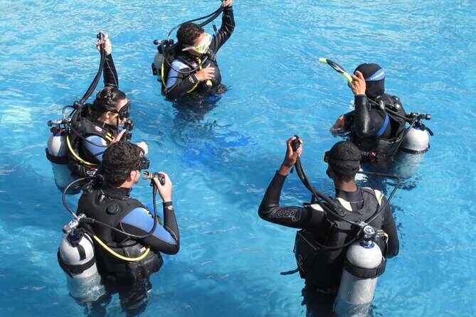 4 Day Certified PADI Open Water Scuba Diver in Dubai - Who Should Book This PADI Course (and Who Might Rethink It)