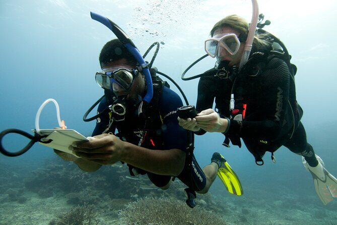 4 Day Certified PADI Open Water Scuba Diver in Dubai - Should You Book This 4-Day Open Water Course in Dubai?