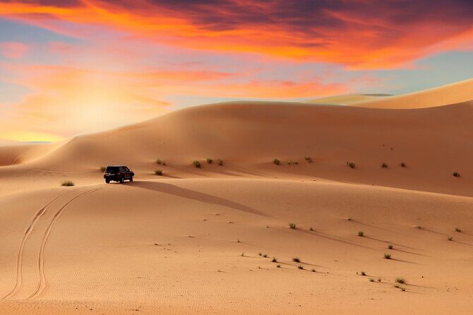 4 Hour Morning Desert Safari Tour with Camel Ride and Quad Bike - Should You Book This 4-in-1 Morning Safari?