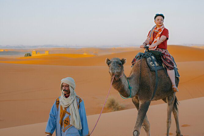 4 Hour Morning Desert Safari with Camel Ride & Sand Boarding - Price and Value: What $29 Buys You (And What It Doesn’t)