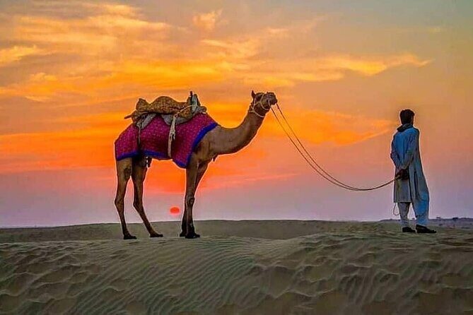 4 Hours Desert Safari - The 45-Minute 4x4 Dune Bashing Session: Thrill With a Safety Mindset