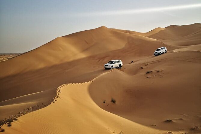4 Hours Morning Desert Safari in Dubai - Key Highlights I’d Prioritize
