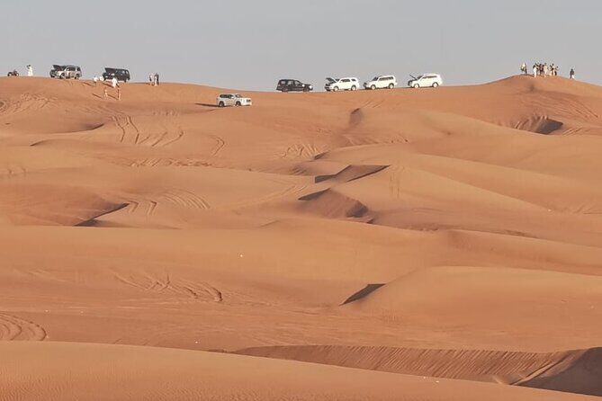 4 Hours Morning Desert Safari in Dubai - The Best Part: A Morning Safari That Feels Like You Beat the Clock