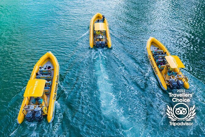 45-Minute Thrilling Speedboat Tour to Atlantis Hotel - Price and value: does $41.59 make sense for a 45-minute thrill?