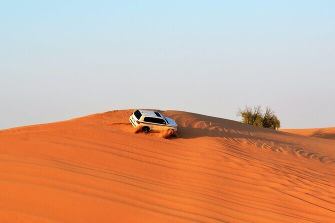 4x4 Desert Safari Abu Dhabi with BBQ Dinner - BBQ dinner reality check: tasty buffet, not five-star spread