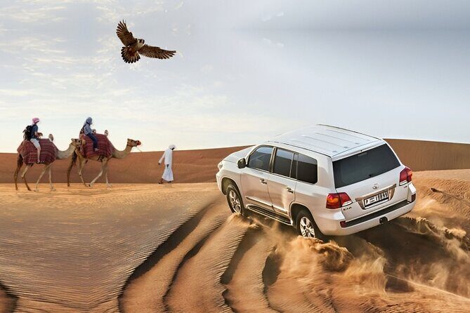 4x4 Dubai Desert Safari, Dune Bash, Camel Ride & BBQ - Key Things I’d Watch For Before You Go