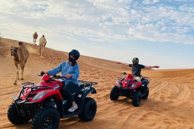 4X4 Dubai Desert Safari with BBQ dinner, Camels & Live Show - Dinner at the Desert Camp: BBQ Buffet With Soft Drinks