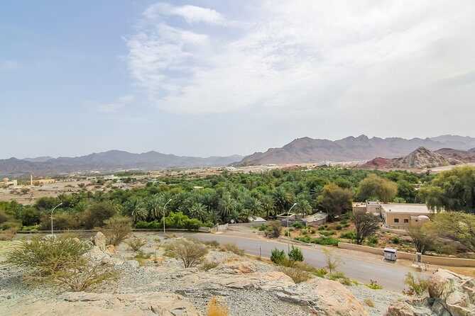4x4 Hatta Safari to Fossil Rock & Honey Bee Garden visit with Breakfast - Jebel Maleihah Fossil Rock: the marine fossils stop that’s worth the drive