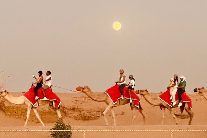 4x4 off-Road Desert Safari, Sandboarding, CamelRide, Veg & BBQ - Dinner Under the Stars: Veg Buffet and Live BBQ Station