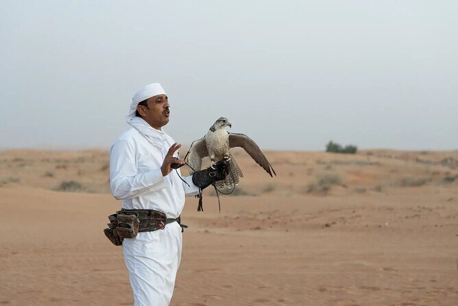 57 Camel Voyage - Falconry and live cultural shows at sunset