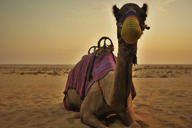7-hour Small Group 4x4 Desert Safari Tour with Buffet Dinner in Dubai - Big Red Dunes: The Main Event and How to Enjoy It Safely