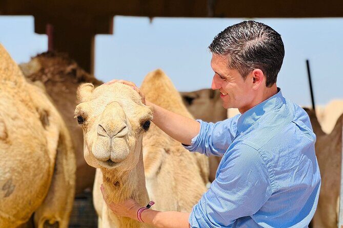8 Hours Al Ain City Tour without lunch - Price and value: why $104.10 can make sense