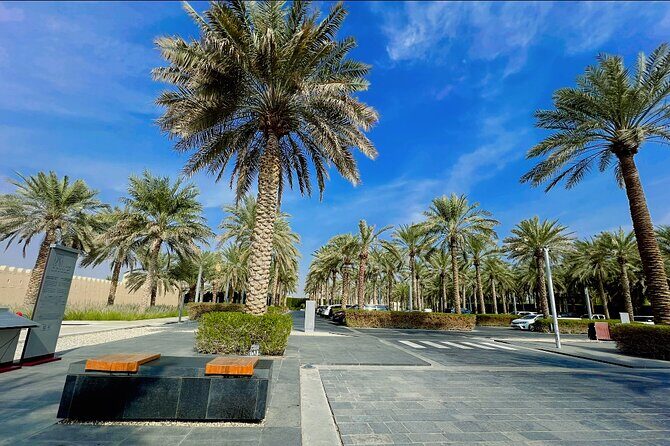 8 Hours Al Ain City Tour without lunch - The National Museum stop: plan for the closure