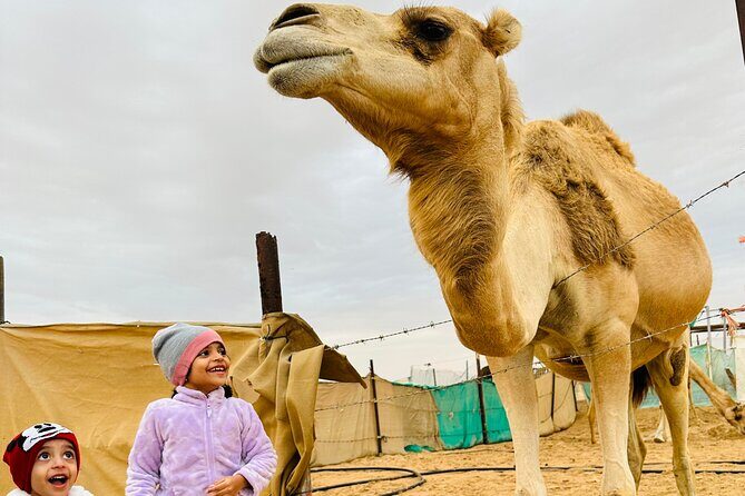 Abu Dhabi: 4x4 Desert Safari and Sandboarding. - Getting From Abu Dhabi to the Dunes Without Losing Your Evening