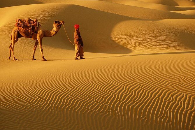 Abu Dhabi 4x4 Desert Safari BBQ Dinner , Camel Ride , Belly Dance - Key highlights at a glance