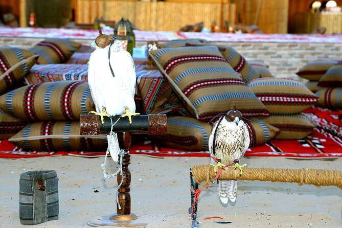 Abu Dhabi Afternoon Desert Safari and BBQ Dinner - From Abu Dhabi at 3:00 pm: why the timing works