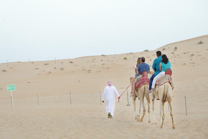 Abu Dhabi City Tour and Desert Safari - Heritage Village: a reconstructed fort and the falaj irrigation story