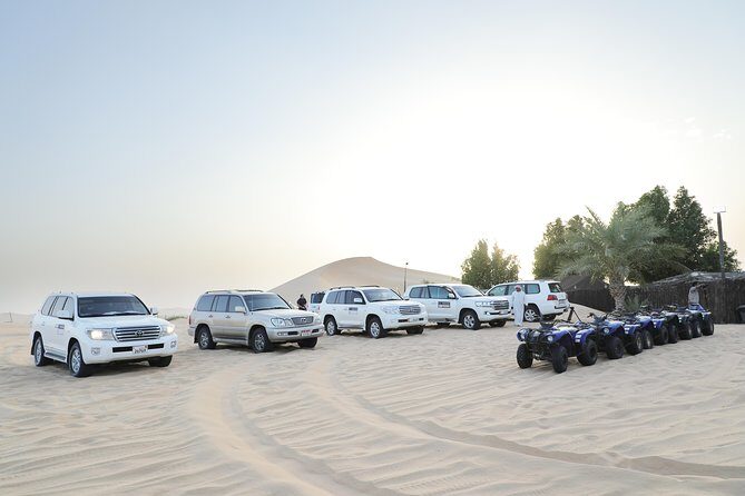 Abu Dhabi City Tour and Desert Safari - Evening desert safari in a 4x4: dune bashing without the guesswork
