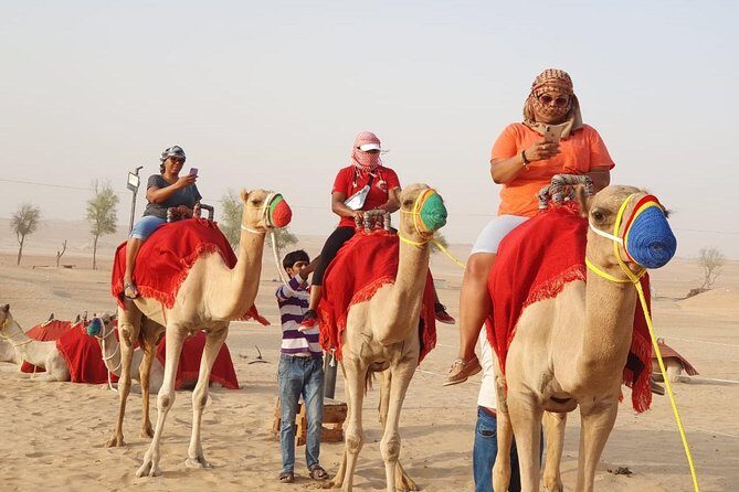 Abu Dhabi city tour & desert safari from Dubai - Emirates Heritage Village and Qasr Al Watan: Culture With More Texture