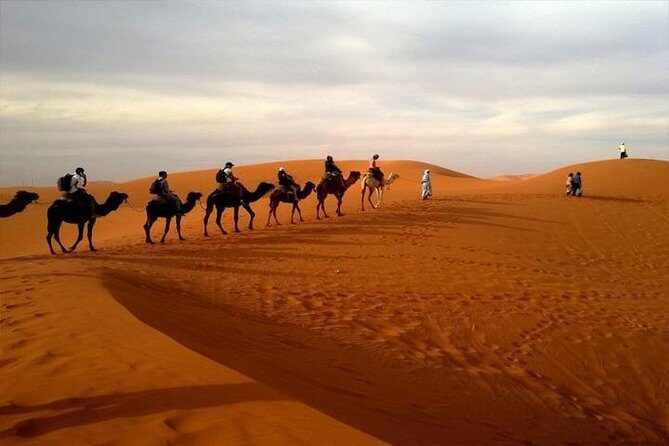 Abu Dhabi City Tour with Desert Safari Adventure - Who should book this Abu Dhabi city + desert combo