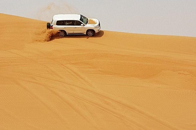 Abu Dhabi Desert Safari 4x4, BBQ Dinner, Camel Ride - Who this 6-hour Al Khatim safari suits best