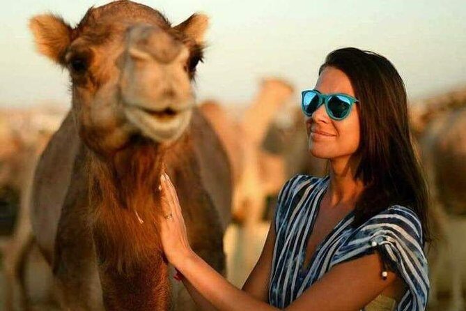 Abu Dhabi Desert Safari 4x4, BBQ Dinner, Camel Ride - Price and value: what $80.83 buys you in Abu Dhabi
