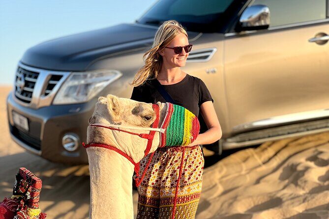 Abu Dhabi Desert Safari Tour with Shows & Buffet Dinner - Price and value: what $60 buys you in Abu Dhabi