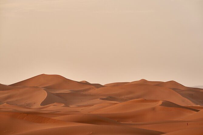 Abu Dhabi Desert Safari Tour with Shows & Buffet Dinner - Adventure Gate camp: Bedouin-style hospitality and quick camel time