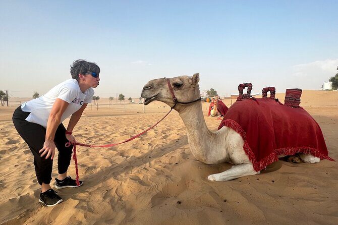 Abu Dhabi Desert Safari Tour with Shows & Buffet Dinner - From your hotel to Adventure Gate: pickup, timing, and real-world pacing