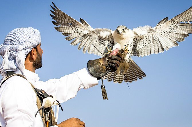 Abu Dhabi: Desert Safari with BBQ, Camel Ride & Sandboarding - BBQ Buffet Dinner: What You’re Really Paying For