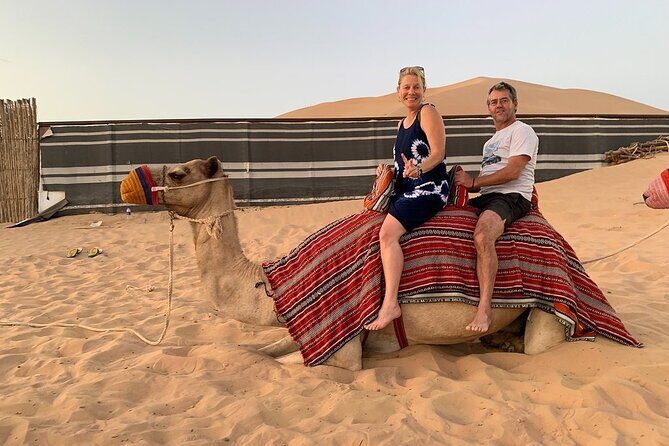 Abu Dhabi Desert Safari with BBQ Dinner & Shows - Who this safari suits best (and who should rethink it)