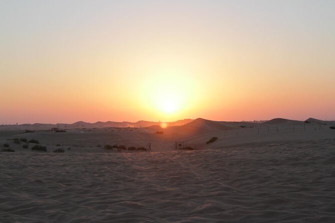 Abu Dhabi Desert Safari with BBQ Dinner & Shows - Dune bashing in Abu Dhabi: fun, fast, and not for every body