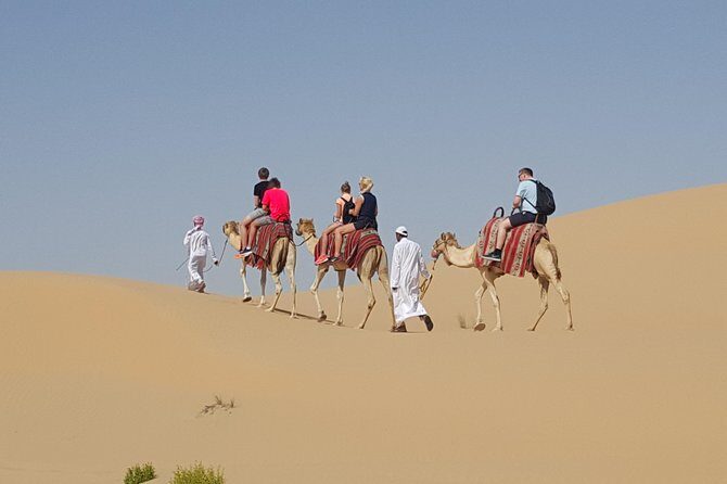 Abu Dhabi Desert safari with BBQ Dinner,Sandboarding & Camel ride - Sunset Stops and the Camel Farm: Why This Route Feels More Real