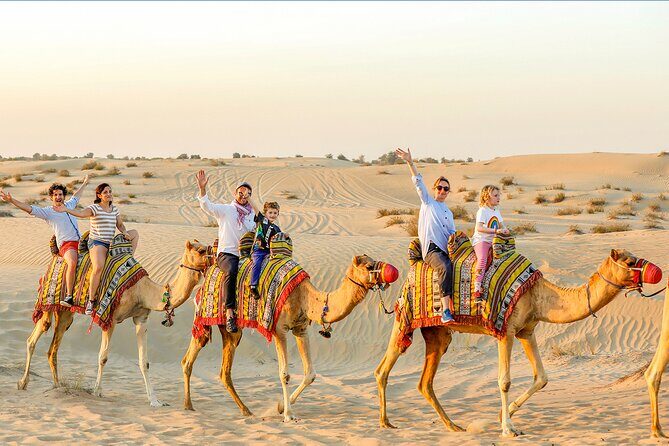 Abu Dhabi Desert Safari with Live Entertainment and Live BBQ - Pickup, drop-off, and the value of a licensed English guide