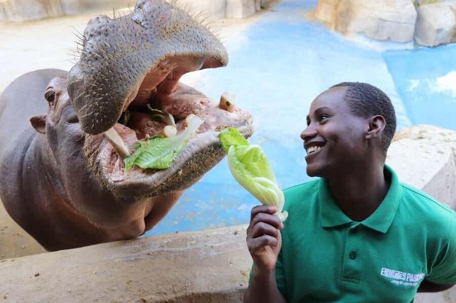 Abu Dhabi: Emirates Park Zoo Entry Ticket - Key highlights you’ll feel in your day