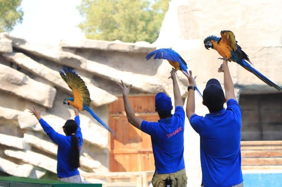 Abu Dhabi: Emirates Park Zoo Entry Ticket - Emirates Park Zoo at a Glance: what your $17 day really buys