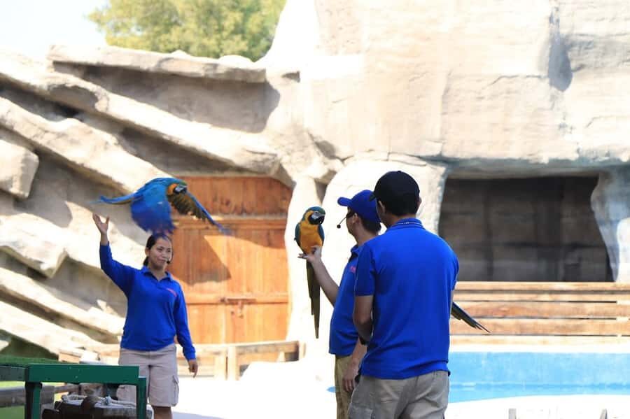 Abu Dhabi: Emirates Park Zoo Entry Ticket - Reptile House and Nile crocodiles: for people who like the serious stuff